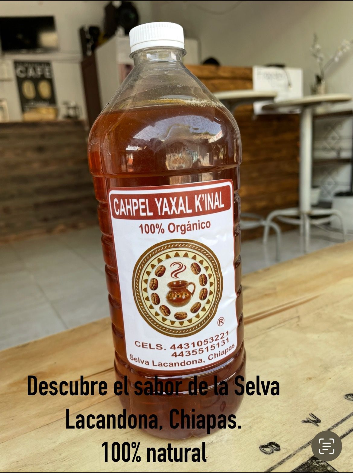 Miel de la Selva Lacandona – 100% Pura (1 litro)